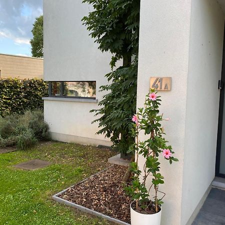 La Suite Cosy - Votre Pause Arboree La Bruyere Dış mekan fotoğraf