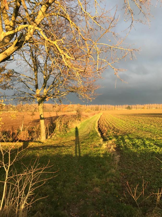La Suite Cosy - Votre Pause Arboree La Bruyere Dış mekan fotoğraf