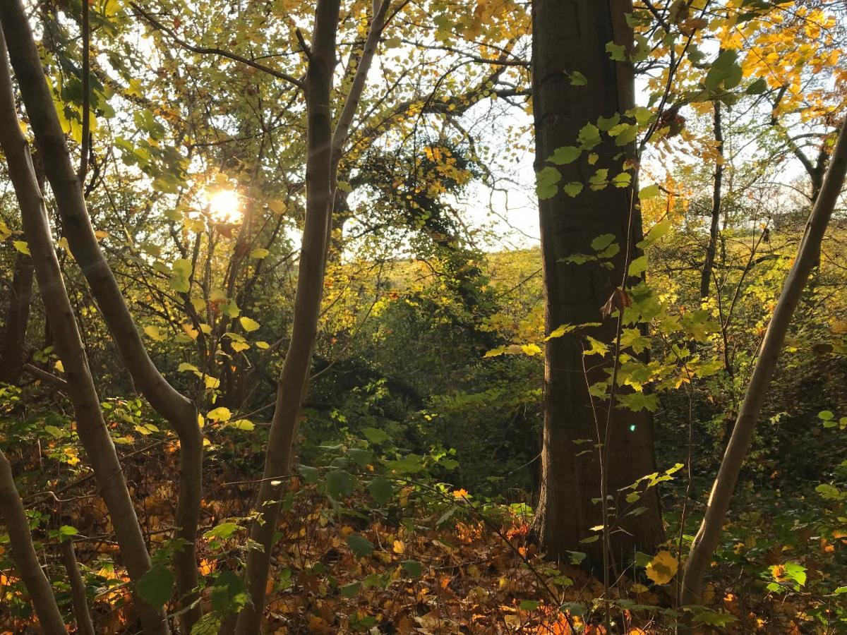 La Suite Cosy - Votre Pause Arboree La Bruyere Dış mekan fotoğraf