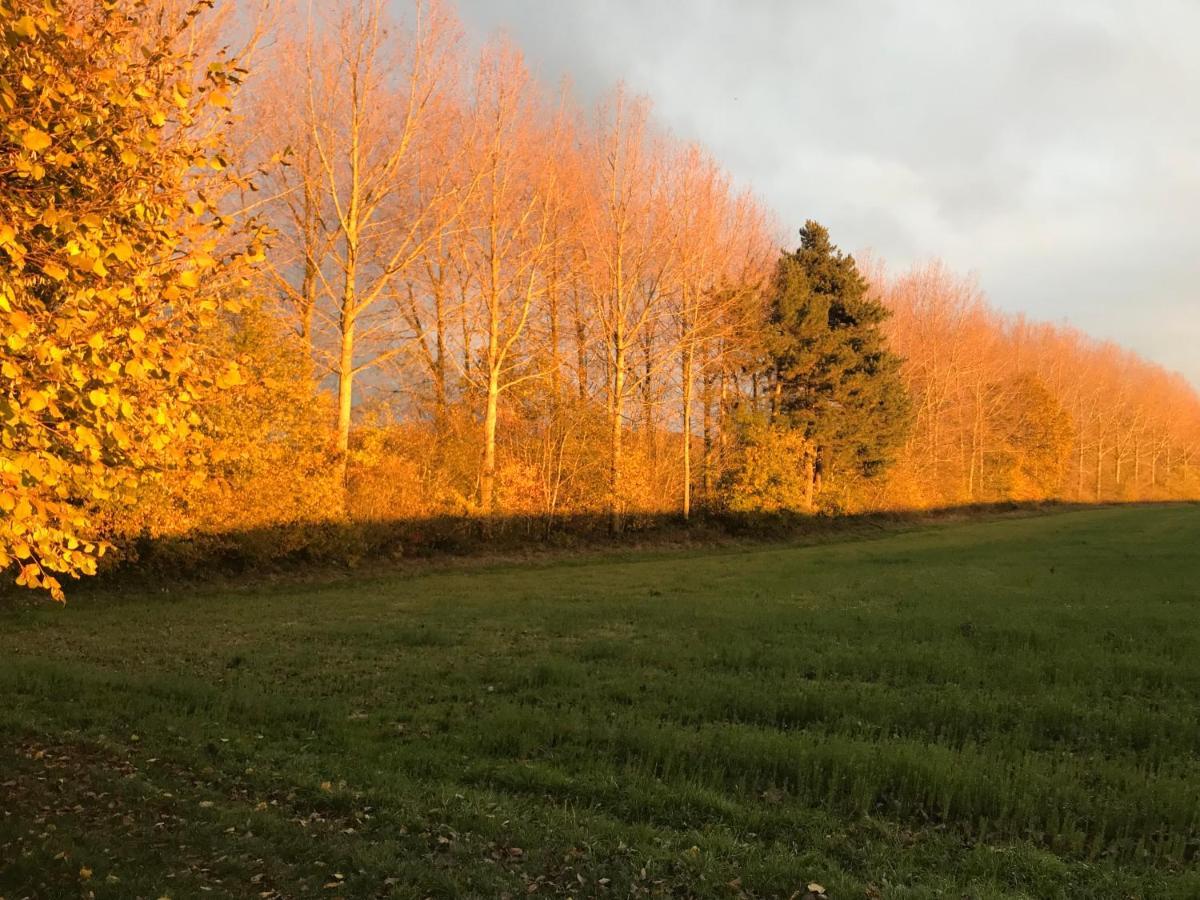 La Suite Cosy - Votre Pause Arboree La Bruyere Dış mekan fotoğraf