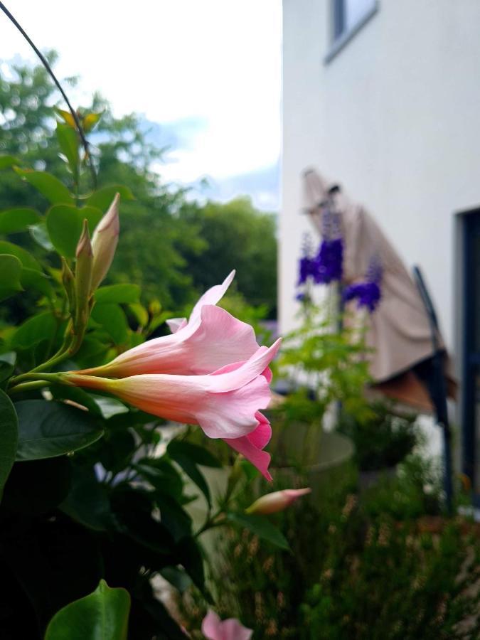 La Suite Cosy - Votre Pause Arboree La Bruyere Dış mekan fotoğraf