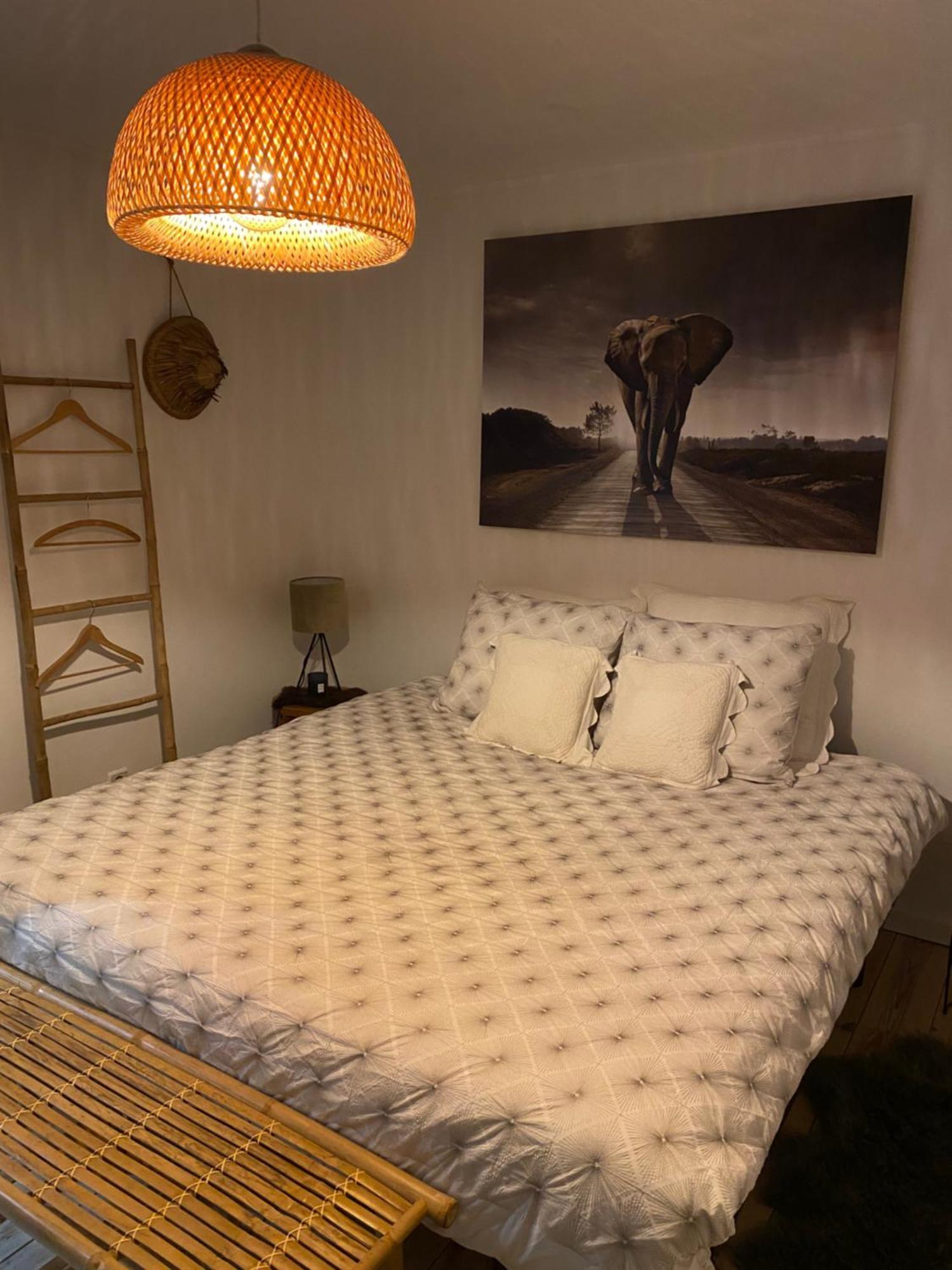 La Suite Cosy - Votre Pause Arboree La Bruyere Dış mekan fotoğraf